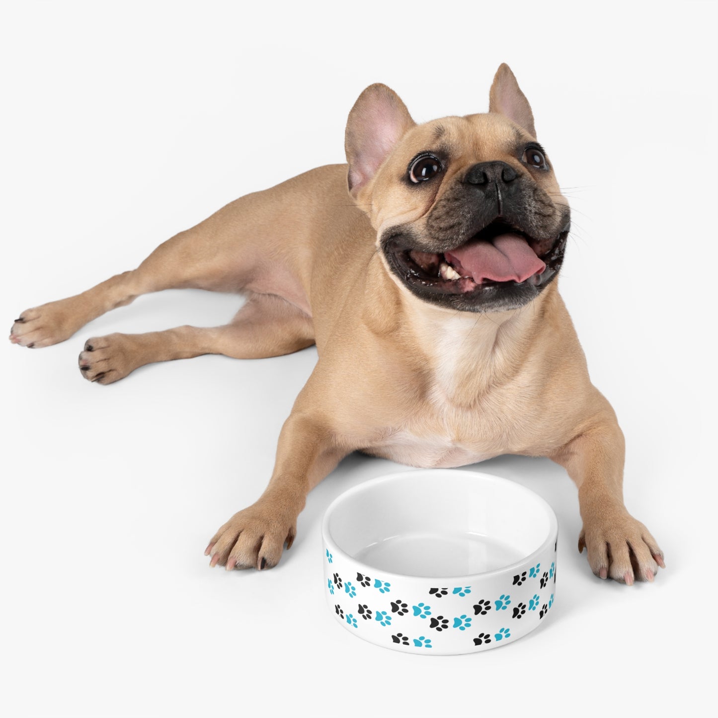 Stylish Pet Bowl | Modern Design for Dog & Cat Lovers